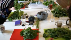 table of herbs