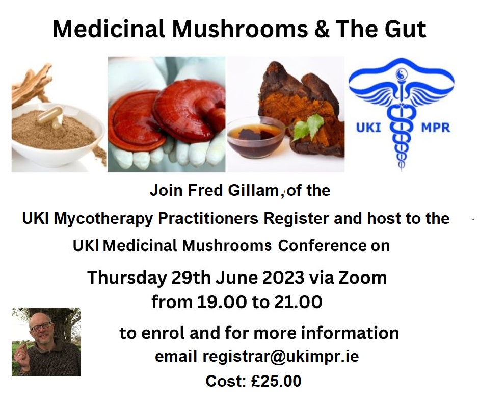 Medicinal Mushrooms & The Gut