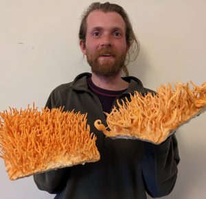 Ben Gibson holding Cordyceps militaris